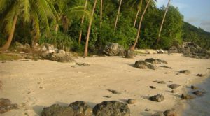 land for sale Koh Samui